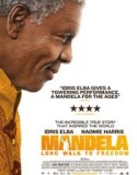 MANDELA: LONG WALK TO FREEDOM (2013)